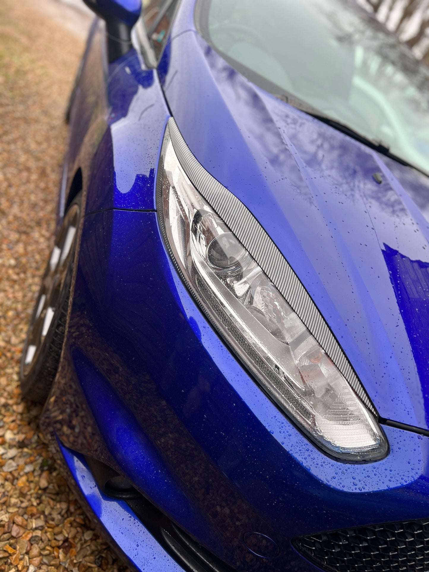Ford focus MK7-MK7.5 combined dipped carbon bundle